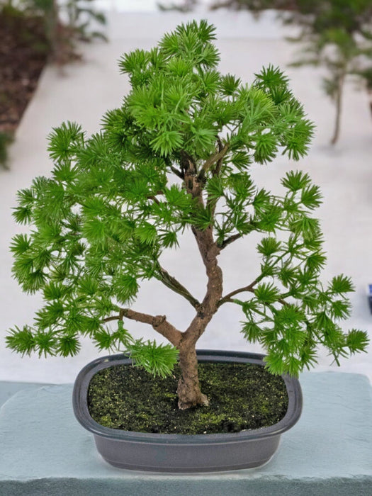 Ginepro - Bonsai Artificiale