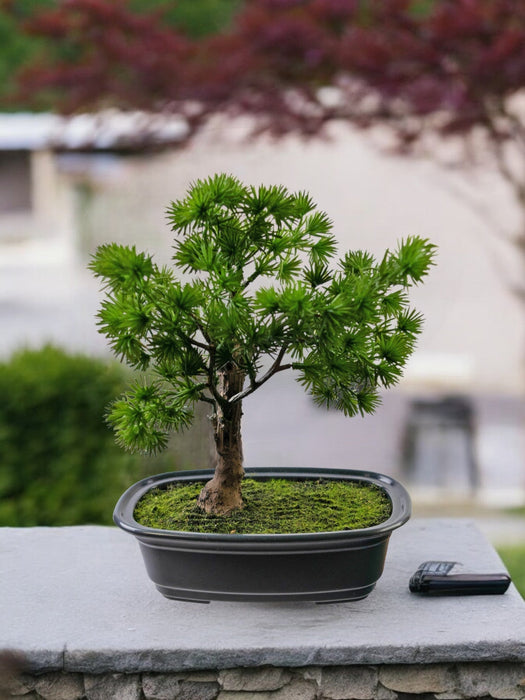 Ginepro - Bonsai Artificiale