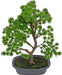 Ginepro - Bonsai Artificiale