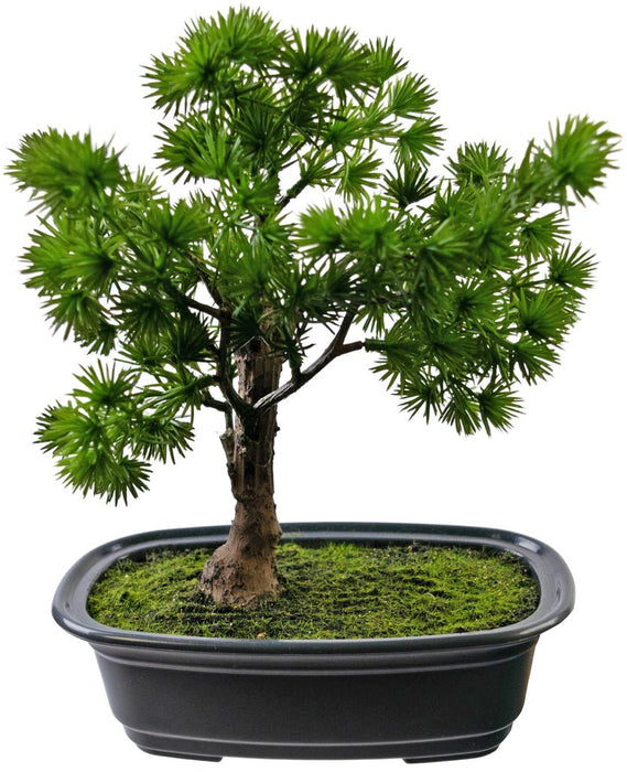 Ginepro - Bonsai Artificiale