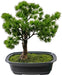Ginepro - Bonsai Artificiale