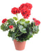 Geranio Rosso Artificiale 5 Teste Paletto Da 40Cm