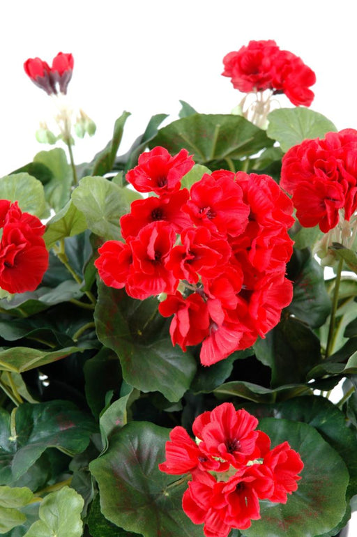 Geranio Rosso Artificiale Su Palo 35 Cm