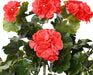 Geranio Rosso Uv Artificiale 10 Teste 65Cm Per Esterno
