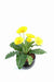 Gerbera Artificiale Gialla Fiore Da 25 Cm Su Paletto