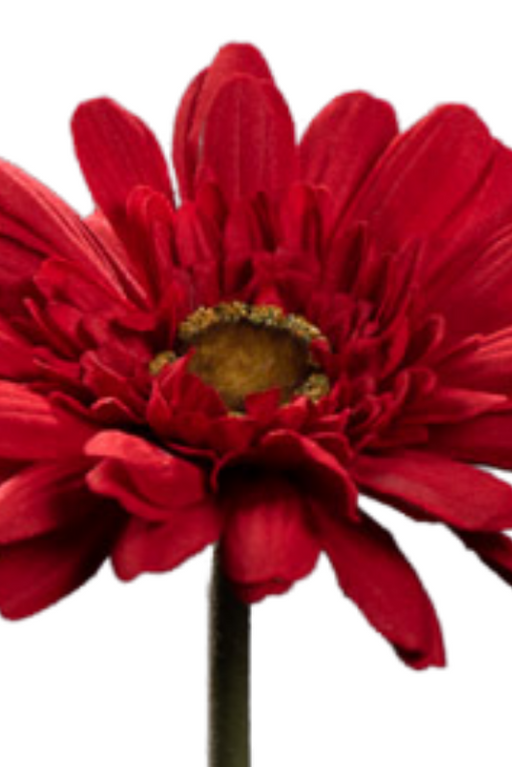 Gerbera Artificiale Rossa 64Cm Per Bouquet