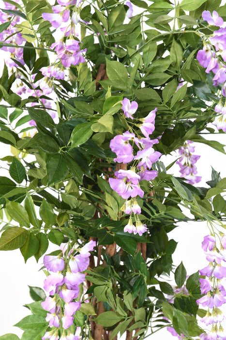 Glicine Artificiale Pianta Da Interno Fiorita 145 Cm