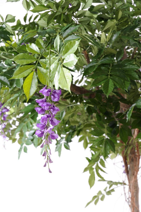 Glicine Artificiale 235 Cm Lavanda Pianta Da Interno