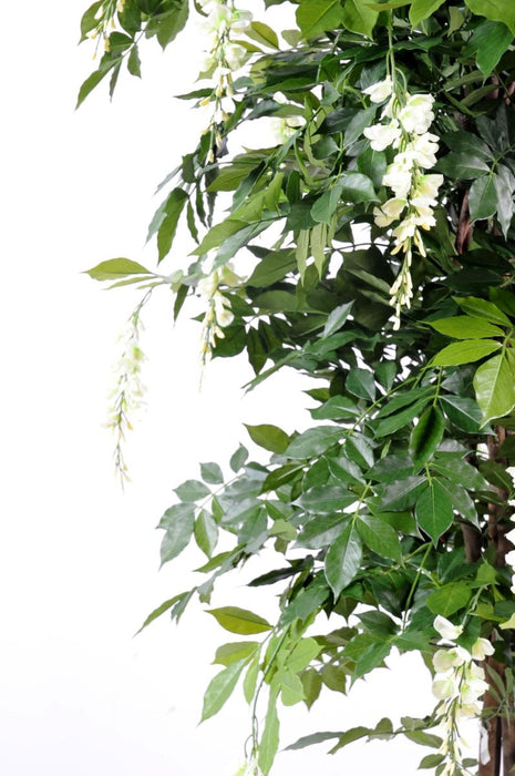 Pianta Da Interno Con Fioritura Artificiale Glicine H180 Cm