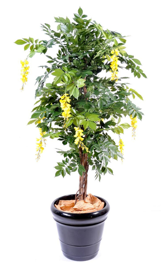 Pianta Da Interno Artificiale Glicine Giallo 110 Cm