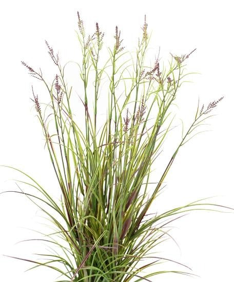 Erba Artificiale Acorus In Vaso 70 Cm Verde Viola