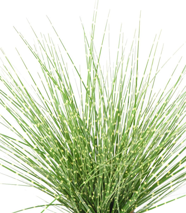 Erba Artificiale Miscanthus Zebrinus 45Cm Verde Giallo