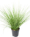 Erba Artificiale Miscanthus Zebrinus 45Cm Verde Giallo