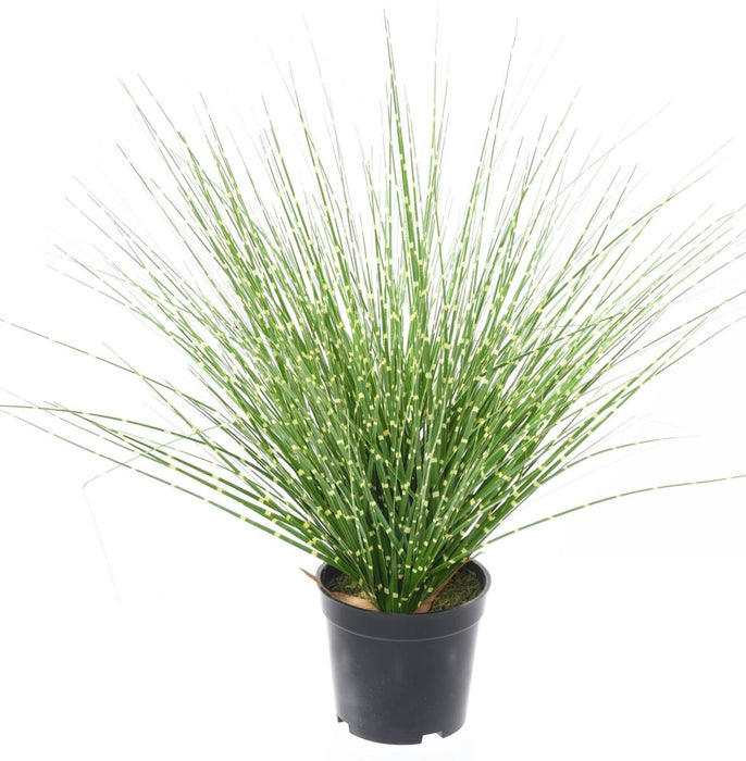 Erba Artificiale Miscanthus Zebrinus 45Cm Verde Giallo