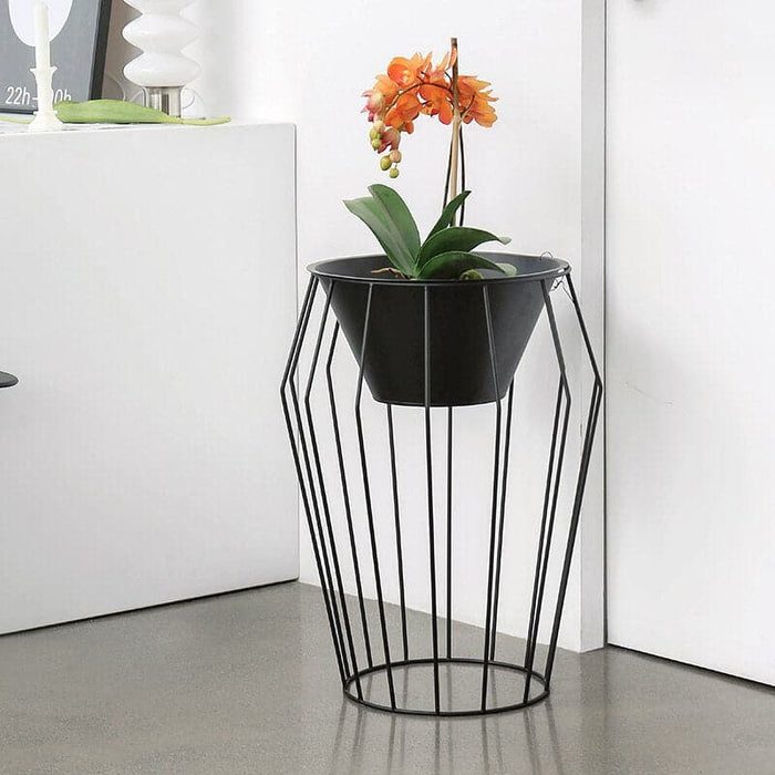 Grande Vaso Per Cache Sul Piede Della Torta