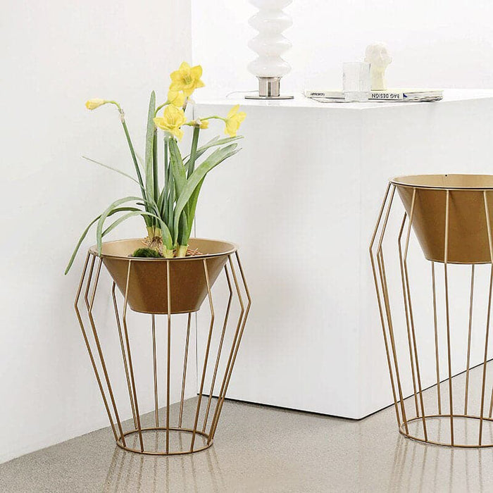 Grande Vaso Per Cache Sul Piede Della Torta