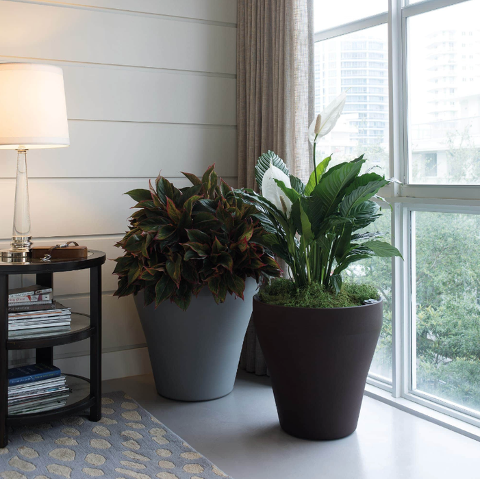 Vaso Decorativo Con Bordo Grande