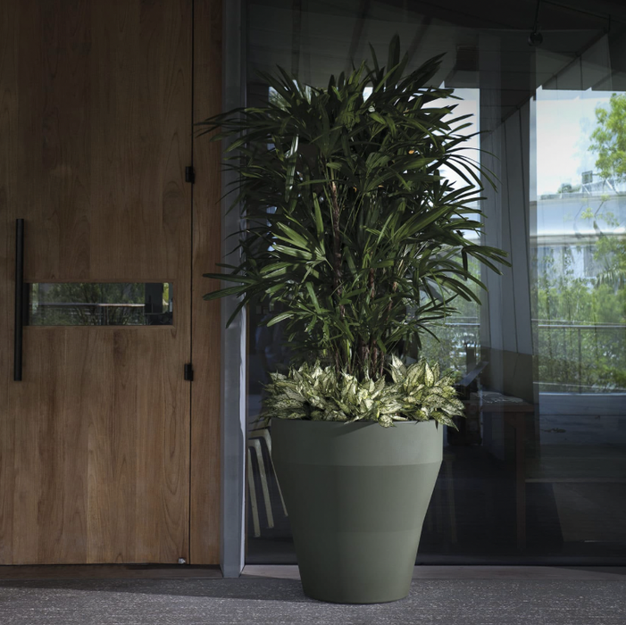 Vaso Decorativo Con Bordo Grande