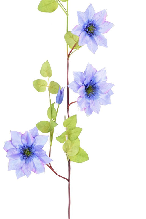 Ghirlanda Clematis 3 Fiori Viola 107 Cm Decorazione Interna
