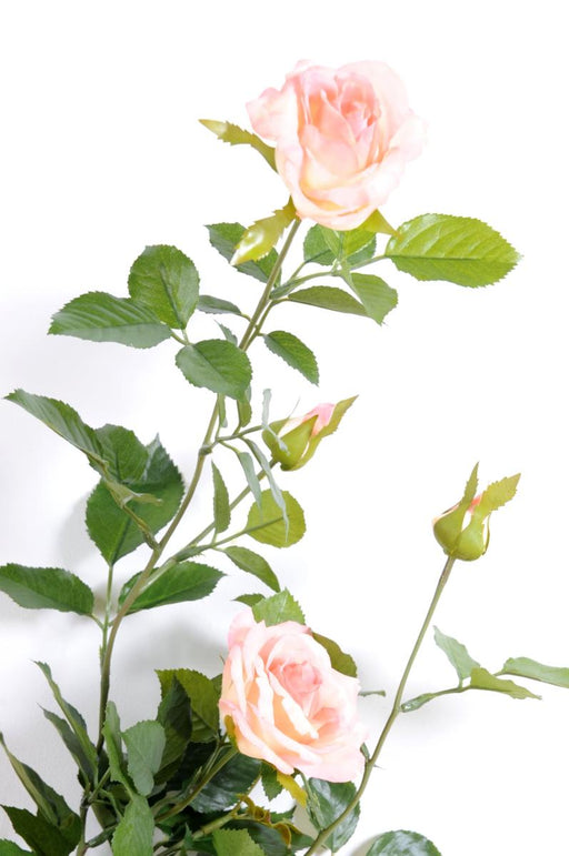 Ghirlanda Di Rose Artificiali 140 Cm Decorazione Interni