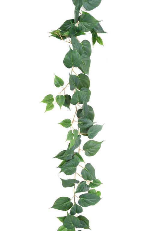 Ghirlanda Di Pothos Artificiale 114 Foglie 190 Cm Verde