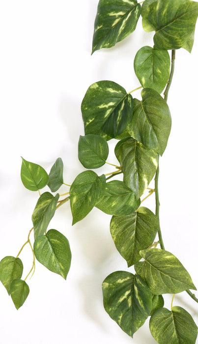 Ghirlanda Di Pothos Artificiale 180 Cm Decorazione D'interni