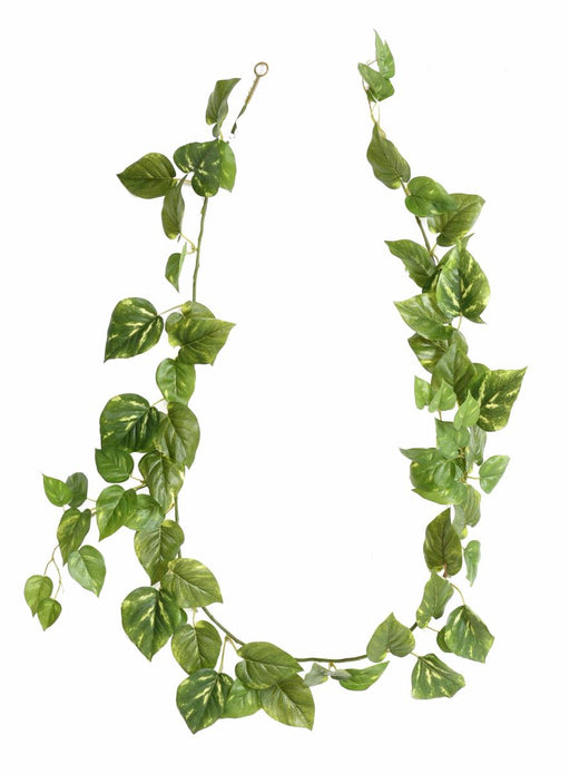Ghirlanda Di Pothos Artificiale 180 Cm Decorazione D'interni