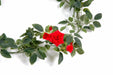 Ghirlanda Di Rose Rosse Artificiali 100 Cm Decorazione Interna