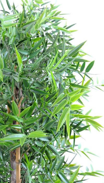 Siepe Di Bambù Artificiale 190 Cm Per Interni Esterni