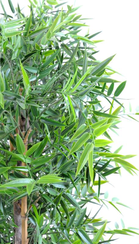 Siepe Di Bambù Artificiale 190 Cm Per Interni Esterni