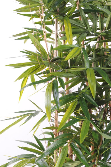 Siepe Da Interno In Bambù Artificiale 150 Cm