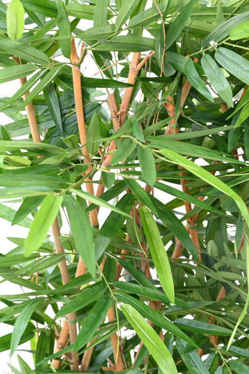 Siepe Di Bambù Artificiale Resistente Ai Raggi UV Per Esterni