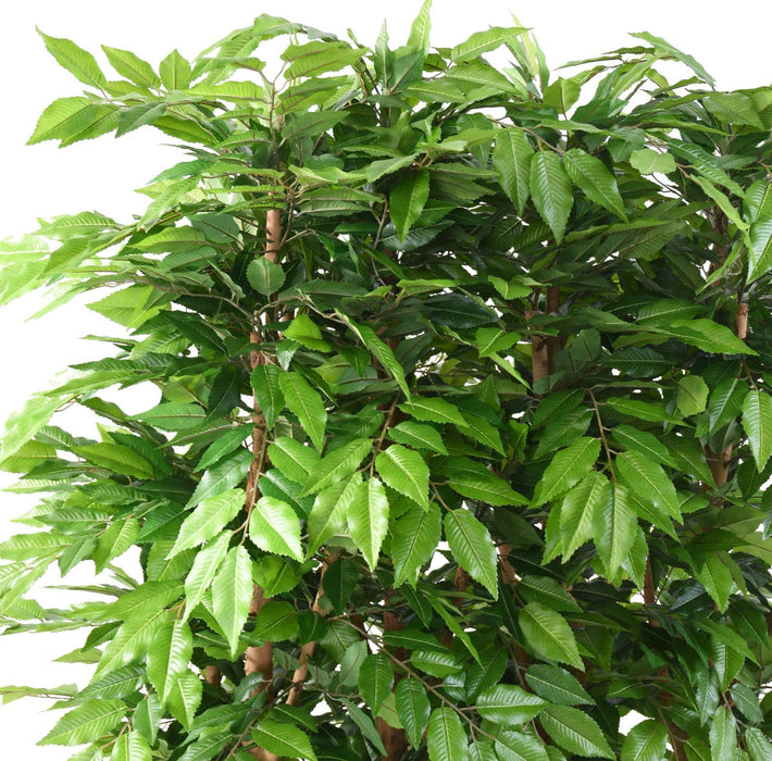 Fitta Siepe Artificiale In Tergal Con Tronco Di Legno