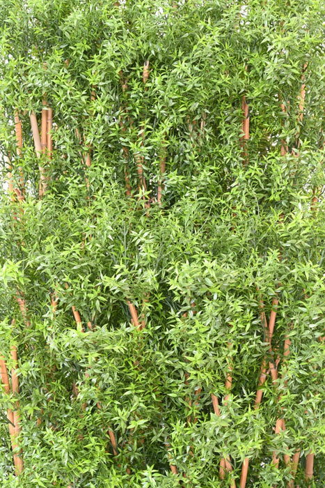 Siepe Di Eucalipto Artificiale Da Esterno H180Cm