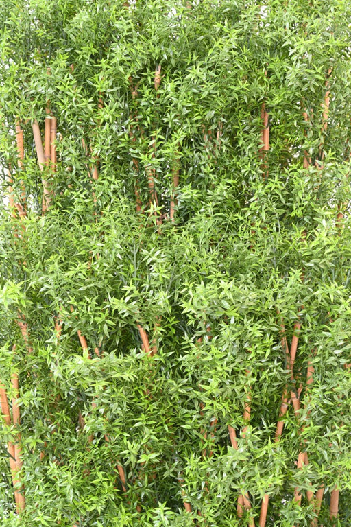 Siepe Di Eucalipto Artificiale Da Esterno H180Cm