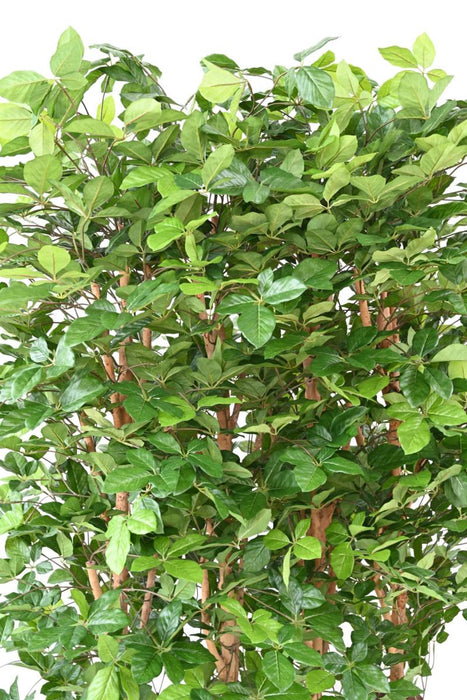 Siepe Di Faggio Artificiale 145 Cm Con Base In Legno