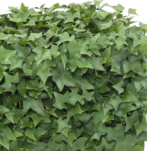Siepe Edera Artificiale Uv 90X32Cm Per Terrazzo