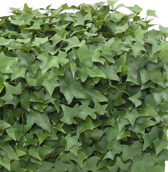 Siepe Edera Artificiale Uv 90X32Cm Per Terrazzo