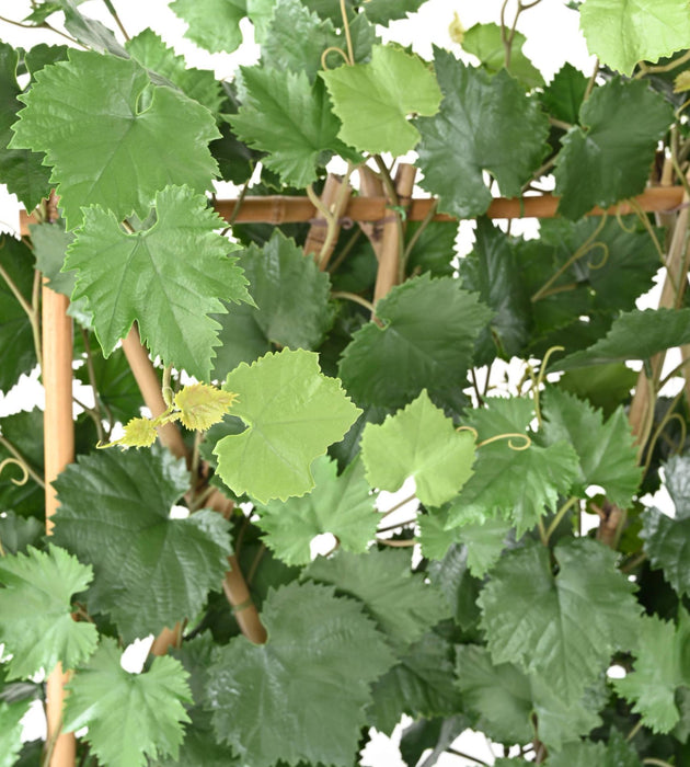 Siepe Artificiale Per Vite Realizzata In Plastica Resistente Ai Raggi UV