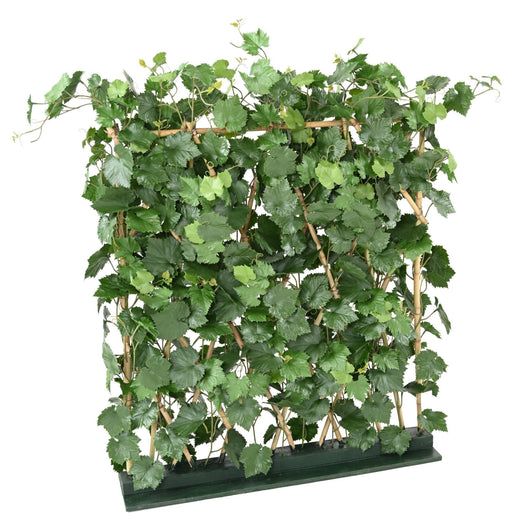 Siepe Artificiale Per Vite Realizzata In Plastica Resistente Ai Raggi UV