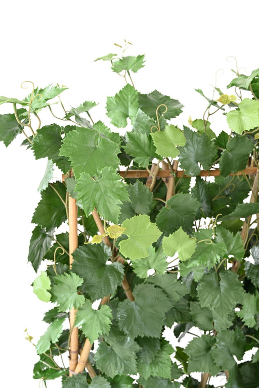 Siepe Artificiale In Plastica Di Vite 145Cm Per Terrazzo