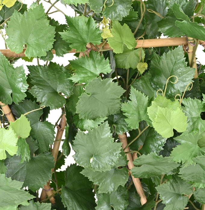 Siepe Artificiale In Plastica Di Vite 145Cm Per Terrazzo