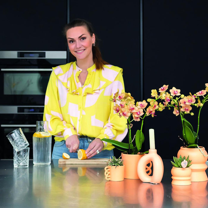 Tazza Happy - Fioriera In Ceramica Color Pesca