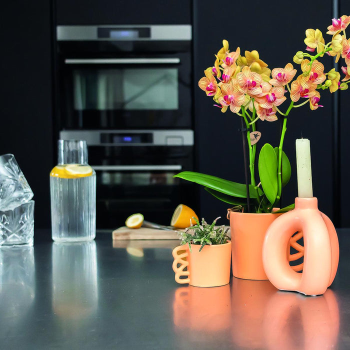 Tazza Happy - Fioriera In Ceramica Color Pesca