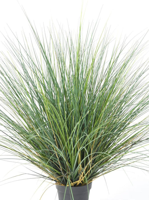 Erba Artificiale In Vaso 110Cm Per Interni