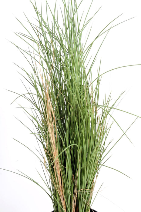 Erba Artificiale Miele Erba Per Uso Interno Ed Esterno