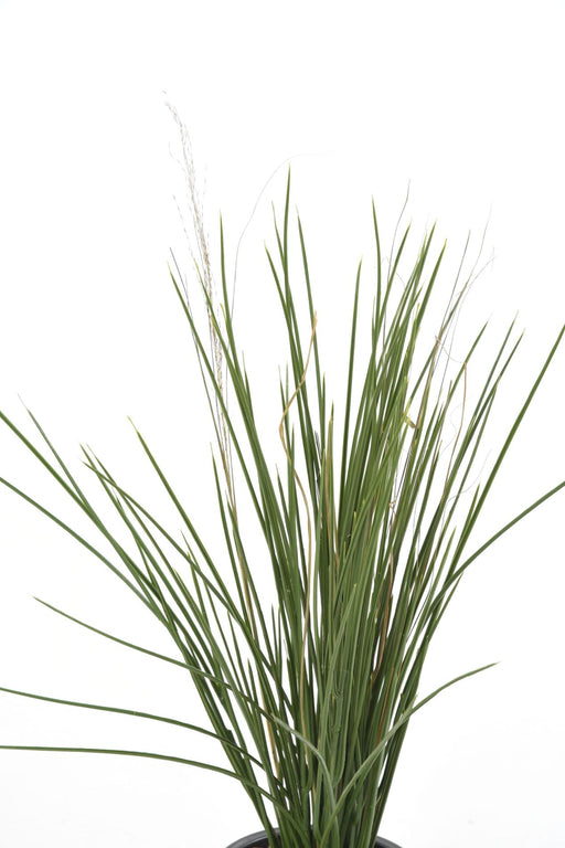 Erba Artificiale Di Miele Resistente Ai Raggi UV 60 Cm