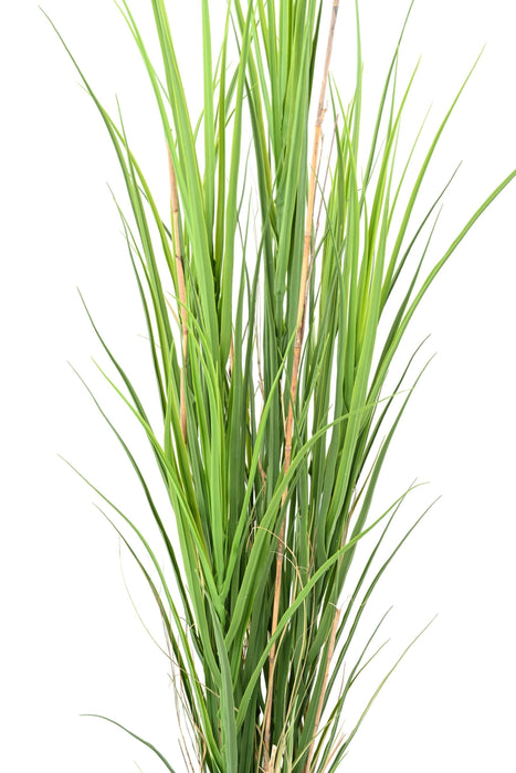 Erba Artificiale Resistente Ai Raggi Uv H.165Cm Vaso Incluso