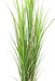 Erba Artificiale Resistente Ai Raggi Uv H.165Cm Vaso Incluso