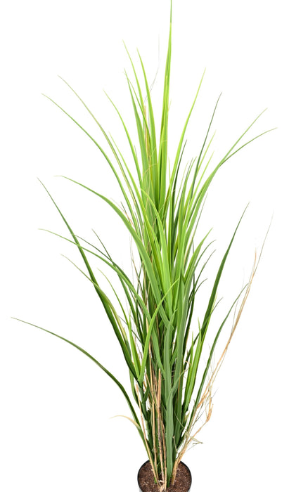 Erba Artificiale Resistente Ai Raggi UV Per Interni Ed Esterni